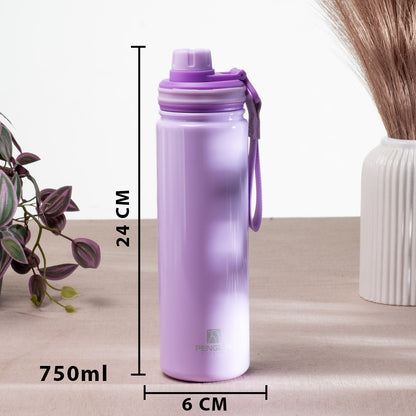 Penguin Anti-Rust Metallic Bottle – 750ml-24×6 cm