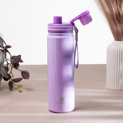 Penguin Anti-Rust Metallic Bottle – 750ml-24×6 cm