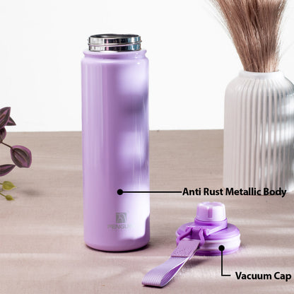 Penguin Anti-Rust Metallic Bottle – 750ml-24×6 cm
