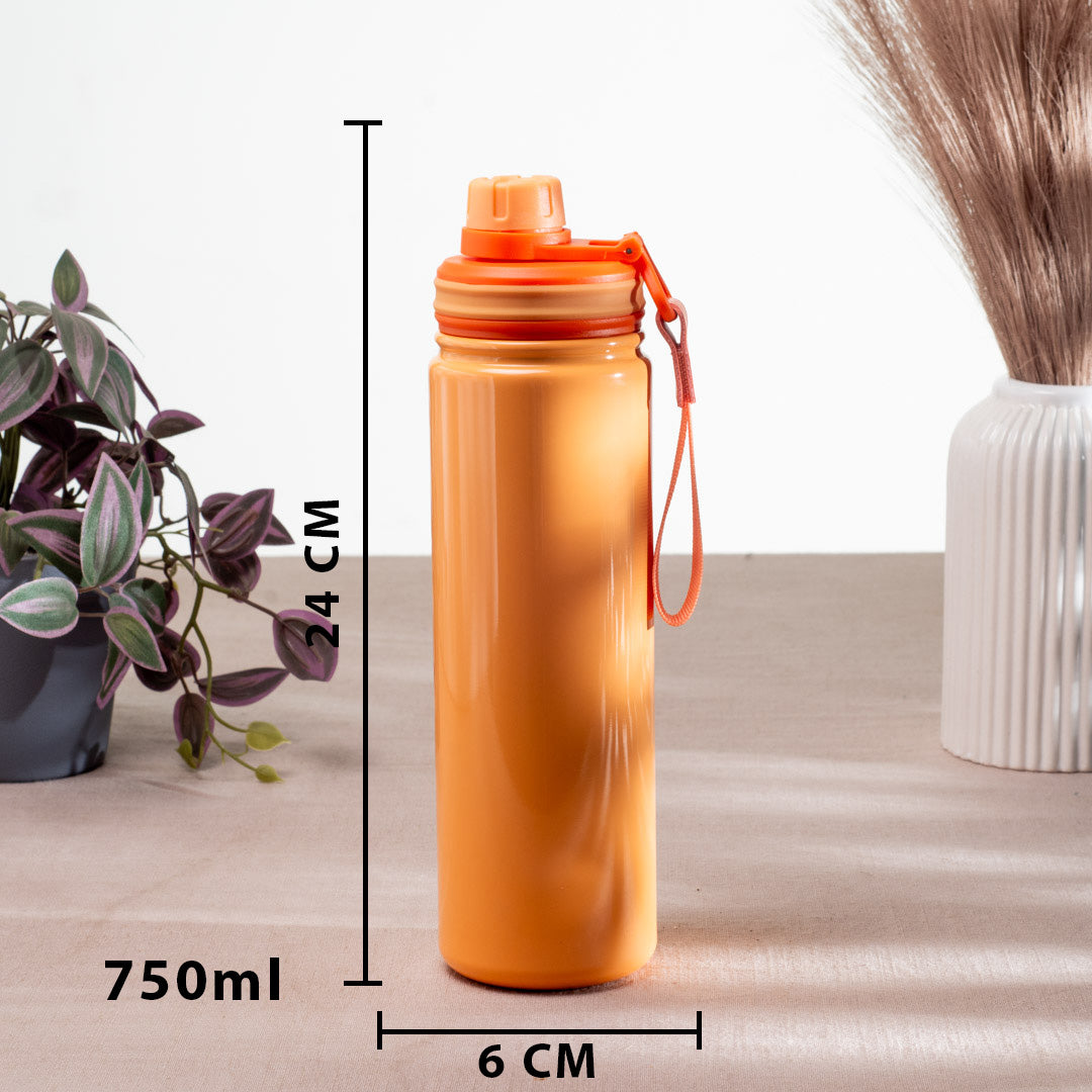 Penguin Anti-Rust Metallic Bottle – 750ml-24×6 cm