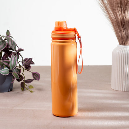 Penguin Anti-Rust Metallic Bottle – 750ml-24×6 cm