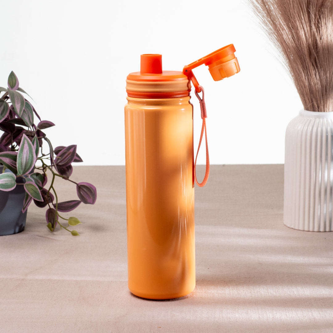 Penguin Anti-Rust Metallic Bottle – 750ml-24×6 cm