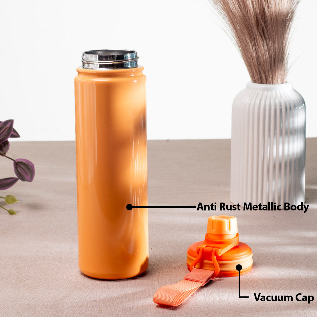 Penguin Anti-Rust Metallic Bottle – 750ml-24×6 cm