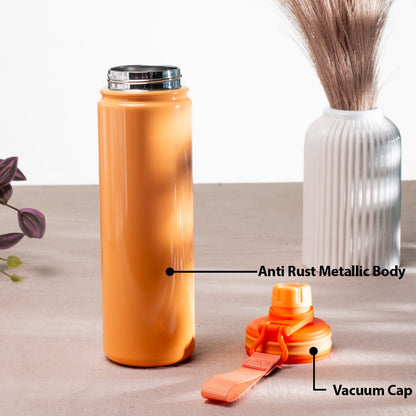 Penguin Anti-Rust Metallic Bottle – 750ml-24×6 cm