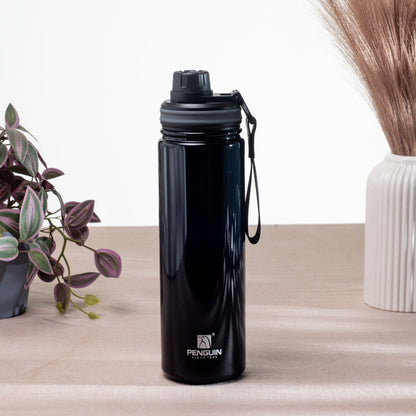 Penguin Anti-Rust Metallic Bottle – 750ml-24×6 cm