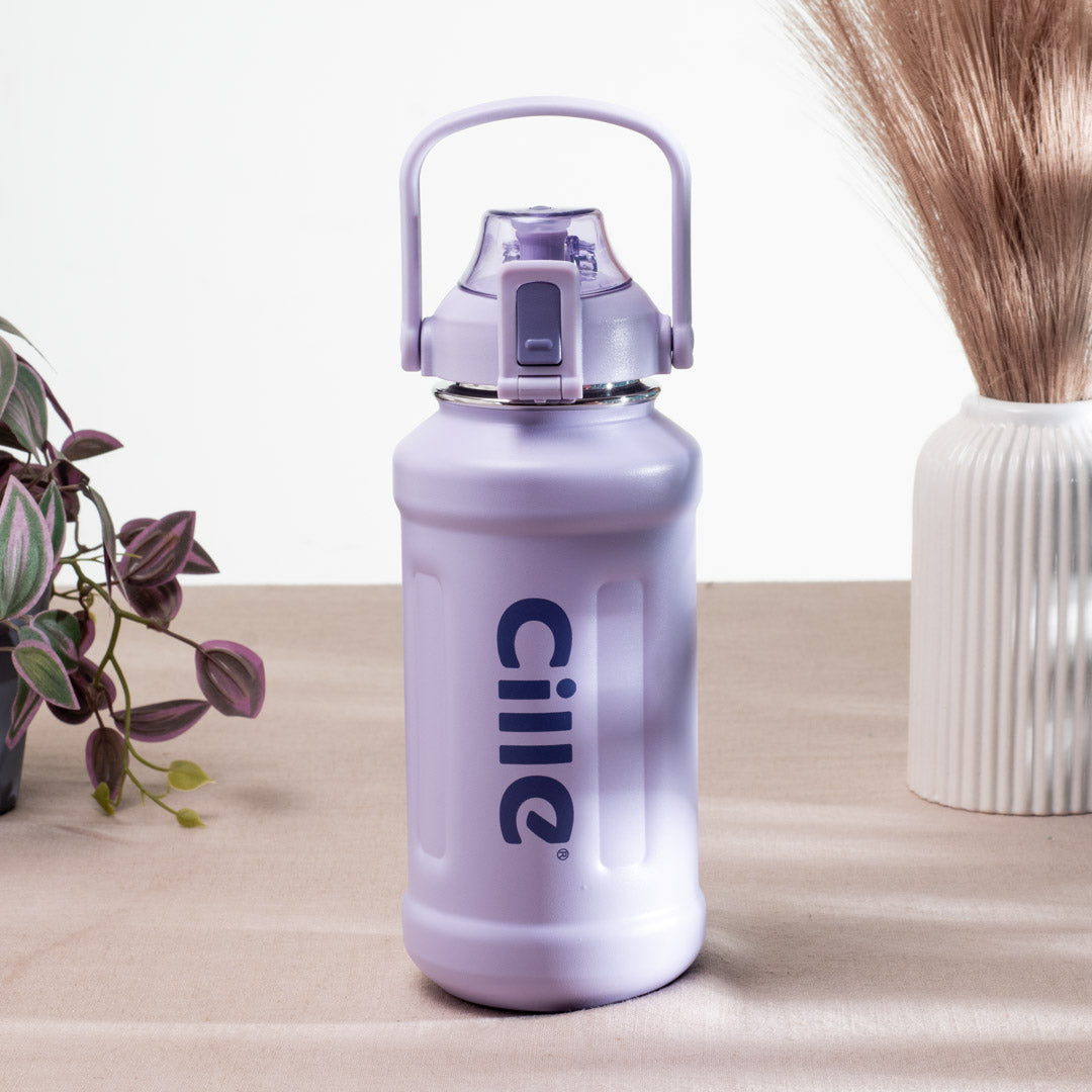 Cille Insulated Water Bottle - Anti-Rust Metallic Body, Purple (25x9 cm)