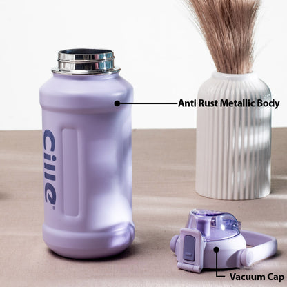 Cille Insulated Water Bottle - Anti-Rust Metallic Body, Purple (25x9 cm)