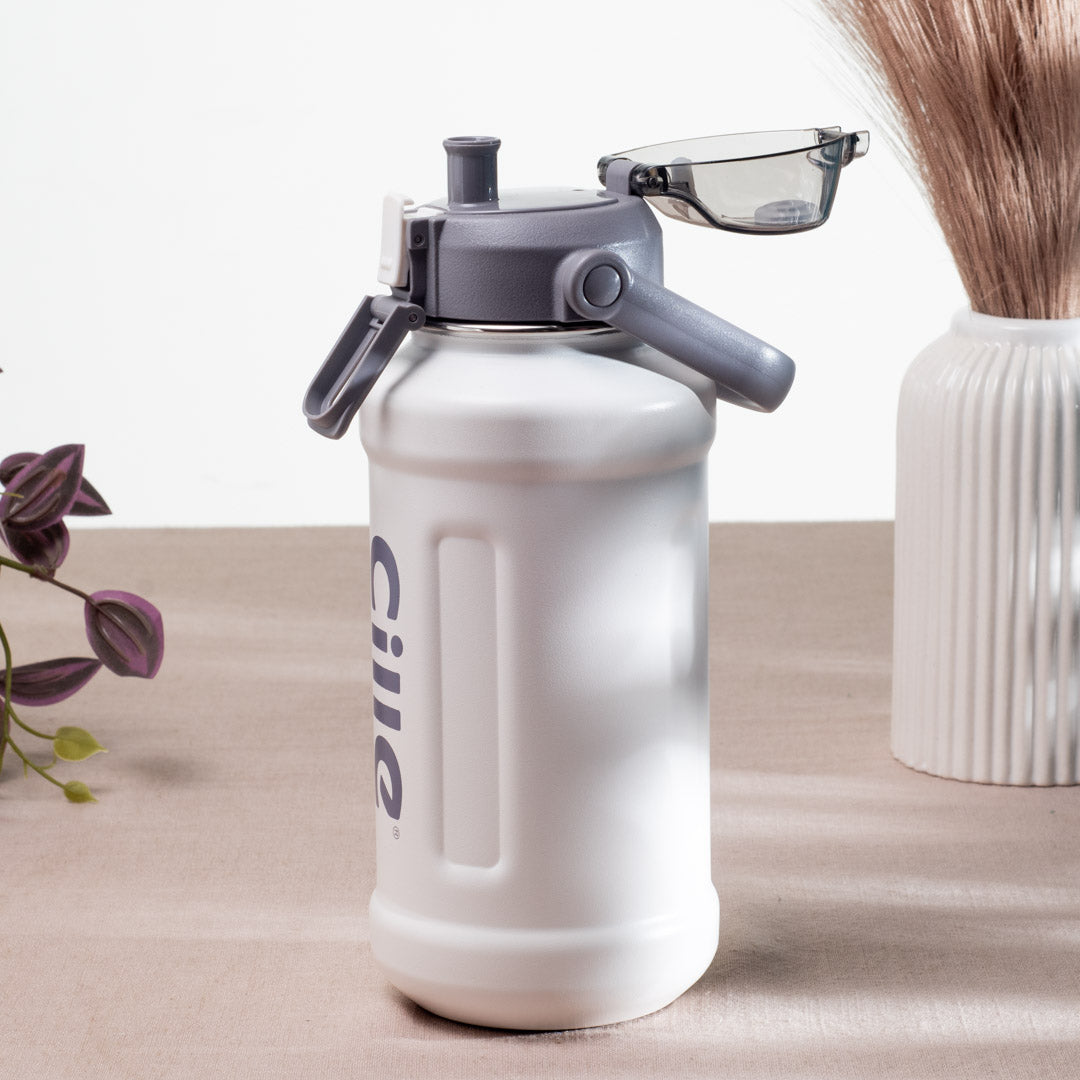 Cille Insulated Water Bottle - Anti-Rust Metallic Body, Purple (25x9 cm)