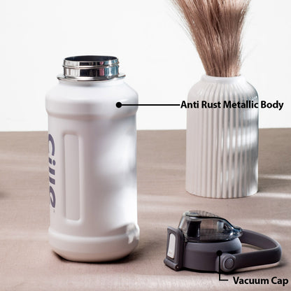 Cille Insulated Water Bottle - Anti-Rust Metallic Body, Purple (25x9 cm)