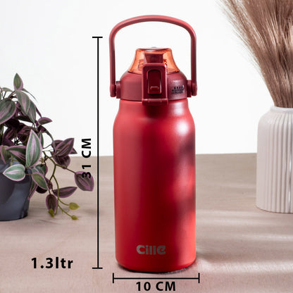 Anti-Rust Metallic Flask – 1.3L-31×10 cm