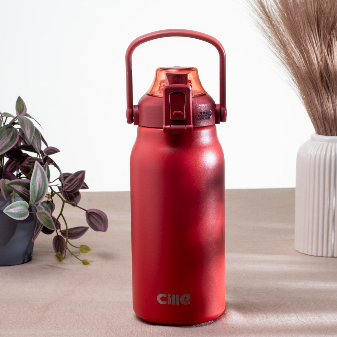 Anti-Rust Metallic Flask – 1.3L-31×10 cm