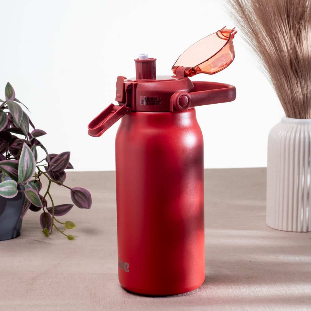 Anti-Rust Metallic Flask – 1.3L-31×10 cm