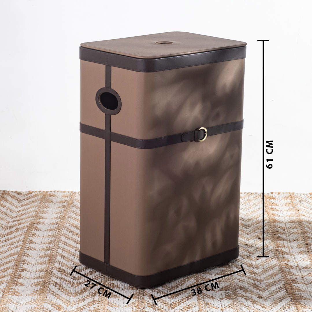 Buckle Design Laundry Box (16x11x24) Inch