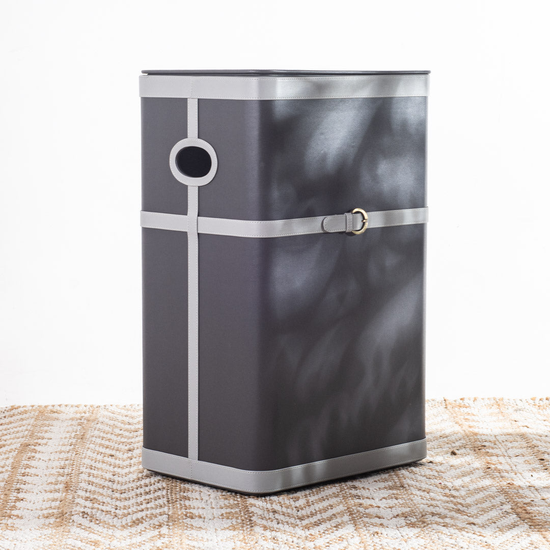 Buckle Design Laundry Box (16x11x24) Inch