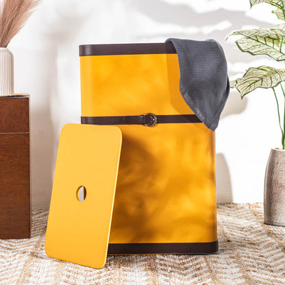 Buckle Design Laundry Box (16x11x24) Inch