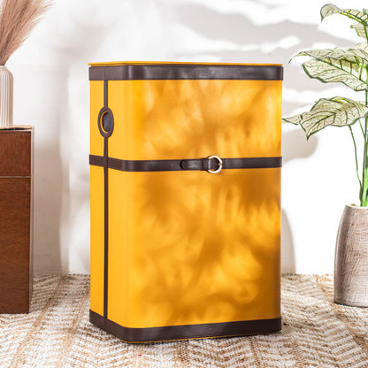 Buckle Design Laundry Box (16x11x24) Inch