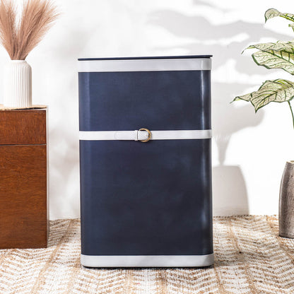 Buckle Design Laundry Box (16x11x24) Inch