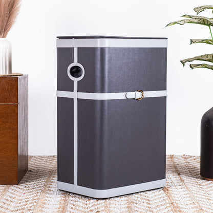 Buckle Design Laundry Box (16x11x24) Inch